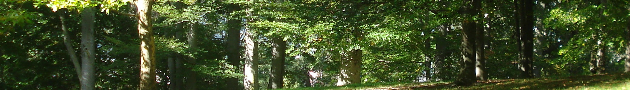 Liečivé pramene